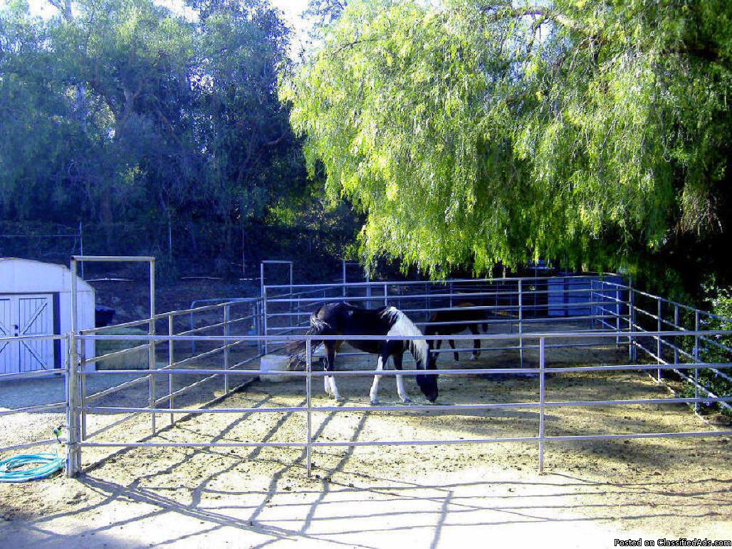 Photo Horse Boarding 36 ft x 36 ft Corrals $160 With Hay (2 flakes per day)