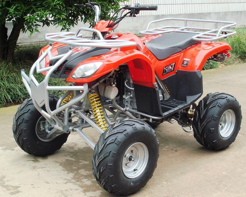 Photo New Old Model (2005) Buyang Max 250 2x4 4 Speed Manual Water Cool ATV - Fully Assembled w/Free Home Delivery with Liftgate Service - 12 Month Engine Parts Warranty