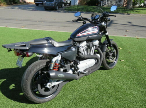 harley xr1200 for sale