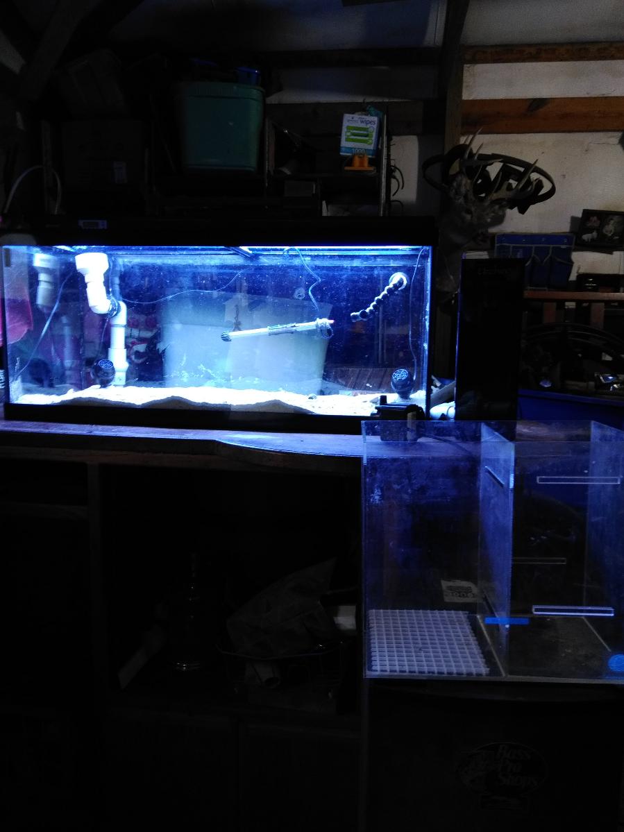 Photo 75 gallon salt/fresh water aquarium